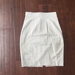 Pencil Skirt